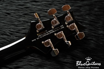 SE Custom 24 - Blue Matteo