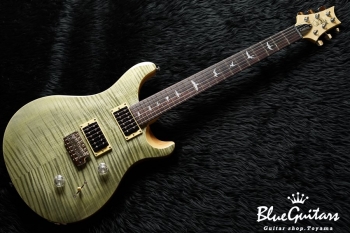 Paul Reed Smith(PRS) SE Custom 24 - Trampas Green | Blue Guitars 