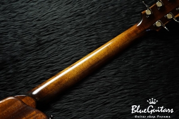 Arcus Thinbody Archtop - Urushi