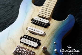 S-622 HSH Ash/M - Tecophilaea