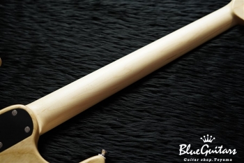 S-622 HSH Ash/M - Tecophilaea