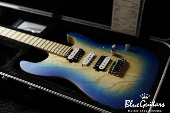 S-622 HSH Ash/M - Tecophilaea