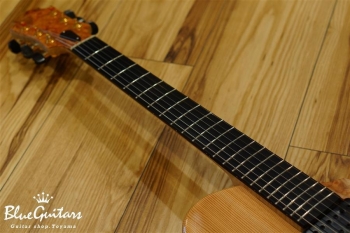 Arcus n's (Flat Back) - Nature