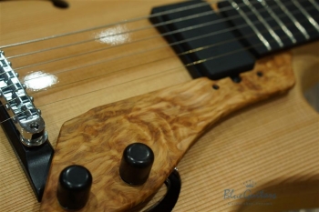 Arcus n's (Archback) - Nature