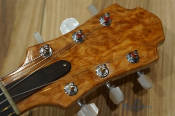 Arcus n's (Archback) - Nature