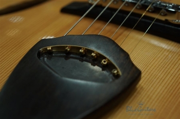 Arcus n's (Archback) - Nature