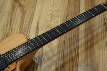 Arcus n's (Archback) - Nature