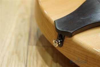 Arcus n's (Archback) - Nature