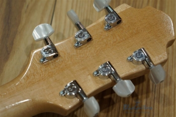 Arcus n's (Archback) - Nature