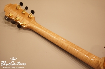 Arcus n's (flatback) - Nature