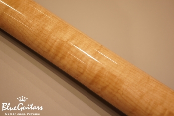 Arcus n's (flatback) - Nature