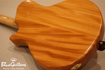 Arcus n's (flatback) - Nature