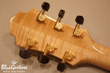 Arcus n's (flatback) - Nature