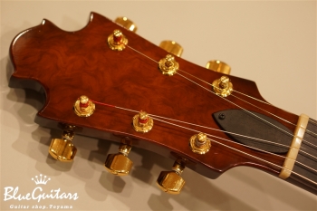 Arcus n's - Fin Hole