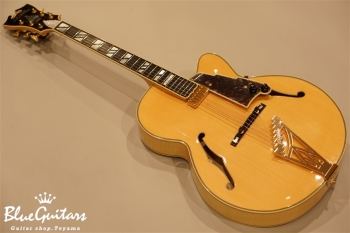 ギター D'Angelico NYL-2 D'Angelico NYL-2 Archtop – Guitar Gallery
