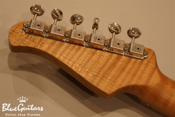 XSC-2 - 2 Tone Sunburst / Medium Aged #169