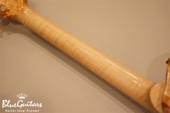 Arcus Style-N - Nature [Yosuke Onuma Specs]