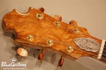 Arcus Style-N - Nature [Yosuke Onuma Specs]