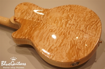 Arcus Style-N - Nature [Yosuke Onuma Specs]