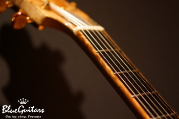 Arcus Style-N - Nature [Yosuke Onuma Specs]