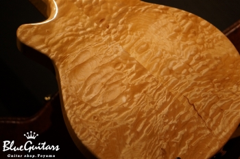 Arcus Style-N - Nature [Yosuke Onuma Specs]