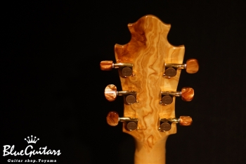 Arcus Style-N - Nature [Yosuke Onuma Specs]