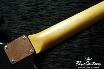 IRIS #054 - Navy over Gold