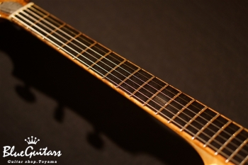 Arcus Style-N - Nature [Yosuke Onuma Specs]