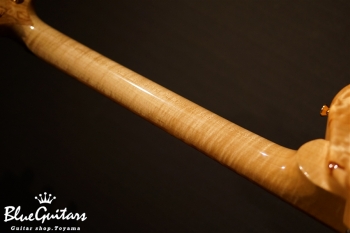 Arcus Style-N - Nature [Yosuke Onuma Specs]