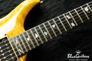 Berlin Pro 24F w/ Trem - Trans Amber