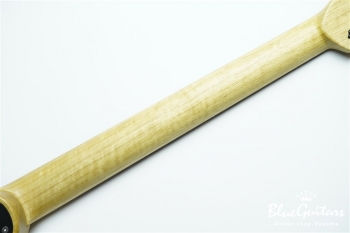 S-622 Extraordinary Korina HH - Leopard