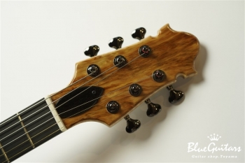 Arcus Thinbody Archtop - Nature