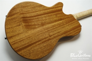 Arcus Thinbody Archtop - Nature