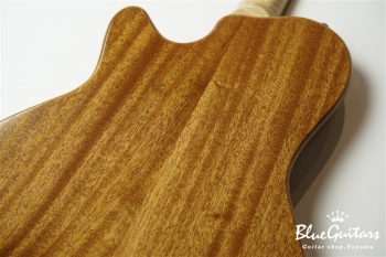 Arcus Thinbody Archtop - Nature