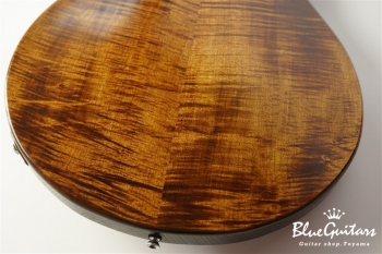 Arcus Ens - Organic Texture