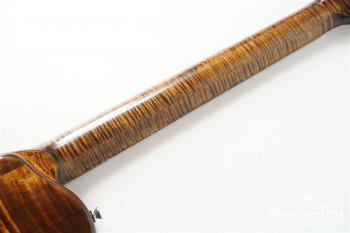 Arcus Ens - Organic Texture