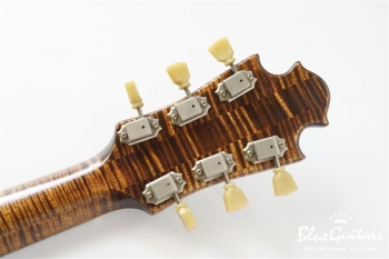 Arcus Ens - Organic Texture