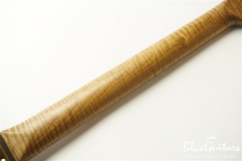 XSC-1 Matte Black Sandblasted #1773 Light Weight Ash/Roasted Flame Maple Neck/Non Aged