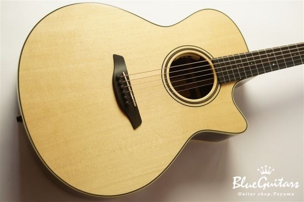 Green Plus Gc-SR w/L.R.Baggs Anthem