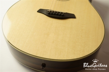 Green Plus Gc-SR w/L.R.Baggs Anthem