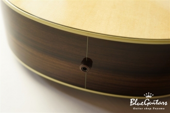 Green Plus Gc-SR w/L.R.Baggs Anthem