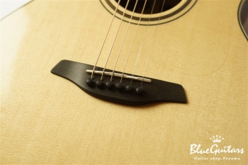 Green Plus Gc-SR w/L.R.Baggs Anthem