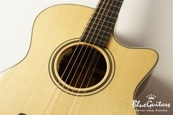 Green Plus Gc-SR w/L.R.Baggs Anthem