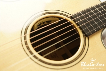 Green Plus Gc-SR w/L.R.Baggs Anthem