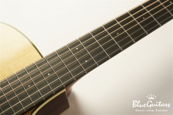 Green Plus Gc-SR w/L.R.Baggs Anthem