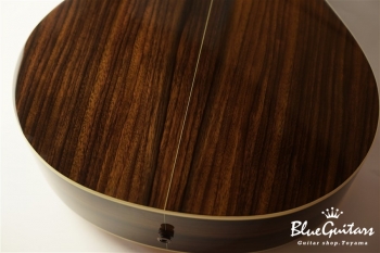 Green Plus Gc-SR w/L.R.Baggs Anthem