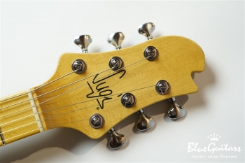 DS499M ASH/AT/TH - 2TS (J.W.Black.Hard Relic)