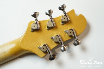 DS499M ASH/AT/TH - 2TS (J.W.Black.Hard Relic)