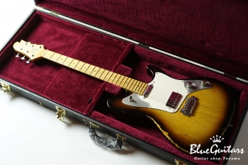 DS499M ASH/AT/TH - 2TS (J.W.Black.Hard Relic)