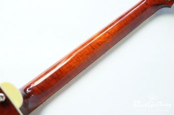 AR-175CE/P-90 - Antique Red